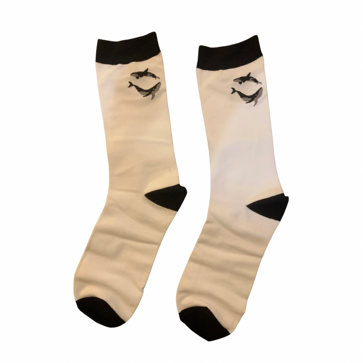 Box Saisei x Daguet - Saisei Socks
